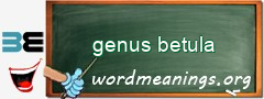 WordMeaning blackboard for genus betula